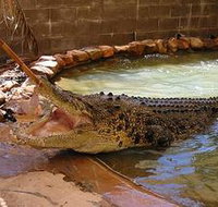 Wyndham Zoological Gardens and Crocodile Park - Attractions Perth