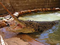 Book Wyndham Accommodation Vacations Attractions Perth Attractions Perth