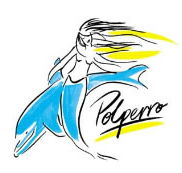 Polperro Dolphin Swims - Attractions Perth