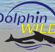 Dolphin Wild - Attractions Perth