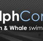Dolphcom - Dolphin  Whale Swimming Adventures - Attractions Perth