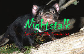 Something Wild - Attractions Perth 1