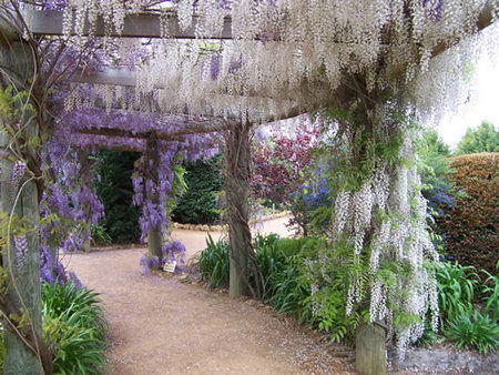 Abingdon Miniature Village - Attractions Perth 0