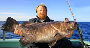 Bravo Fishing Charters - Attractions Perth 0
