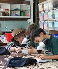 Australian National Botanic Gardens - Attractions Perth 2