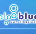 Ningaloo Blue Dive - Attractions Perth