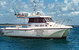 Sunshine Coast Fishing Charters - thumb 1