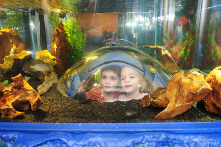 Scitech - Attractions Perth 3