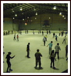 Bendigo Ice Stadium - Attractions Perth 1