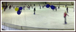 Bendigo Ice Stadium - Attractions Perth 2