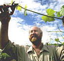 Barossa Experience Tours - Attractions Perth