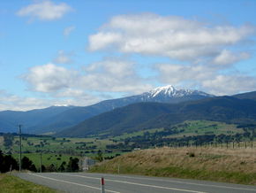 Buller View Wines - Attractions Perth 2