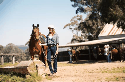 Watsons Trail Rides - Attractions Perth