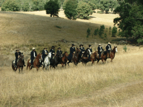 McCormacks Mountain Valley Trail Rides - Attractions Perth