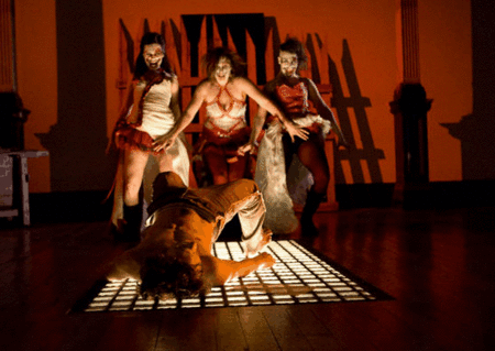 Zen Zen Zo Physical Theatre - Attractions Perth 1