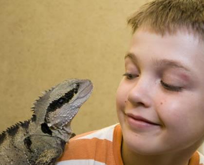Geckoes Wildlife Presentations - Attractions Perth 2