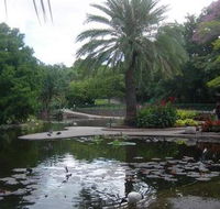 Brisbane City Botanic Gardens - Attractions Perth