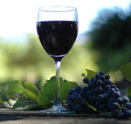 Lion Mill Vineyards - Attractions Perth