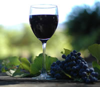 Lion Mill Vineyards - Attractions Perth 0