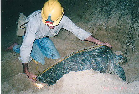 Footprints Adventures - Attractions Perth 2