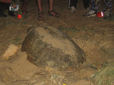 Footprints Adventures - Attractions Perth 3