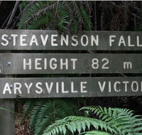 Stevensons Falls - Attractions Perth