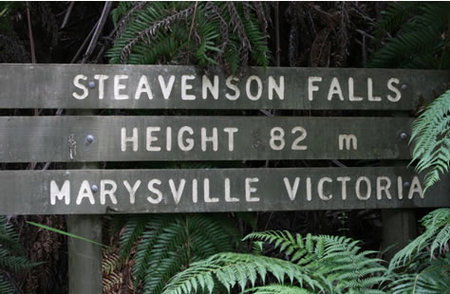 Stevensons Falls - Attractions Perth 0