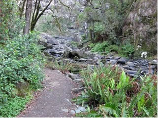 Stevensons Falls - Attractions Perth 1