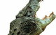 Crocodylus Park - thumb 3