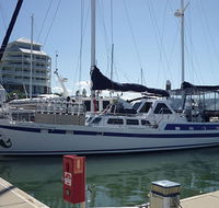 Coral Sea Dreaming Dive and Sail - Attractions Perth