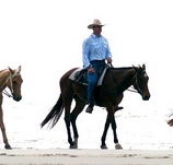 Ride the Beach - Attractions Perth
