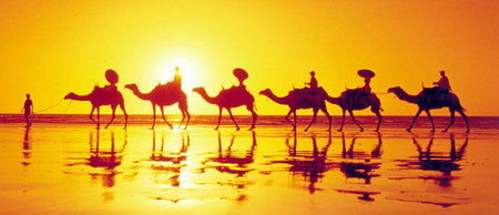 Banksia Adventures - Attractions Perth 1