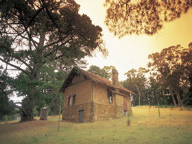 Heysen - The Cedars - Attractions Perth 0