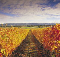 Link Tours - Attractions Perth