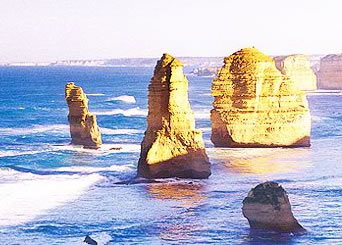 Bunyip Tours - Attractions Perth 3