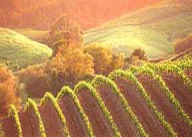 Meridian Tours - Attractions Perth 2