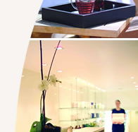 Lyall Hotel and Spa - Attractions Perth