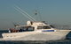 Melbourne Fishing Charters - thumb 2