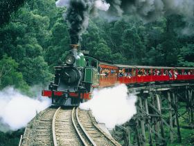 Gray Line Tours Melbourne - Attractions Perth 1