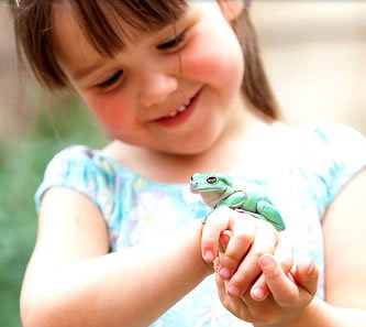 Reptile Encounters - Attractions Perth 1