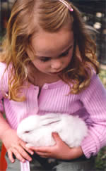 Heritage Craft Fair - Attractions Perth 2