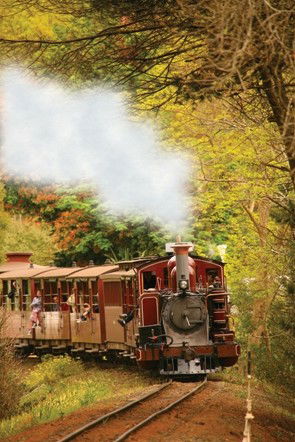 Puffing Billy - Attractions Perth 5