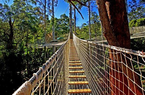 FreemanX Experience - Attractions Perth 2