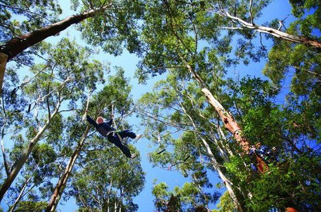 FreemanX Experience - Attractions Perth 5