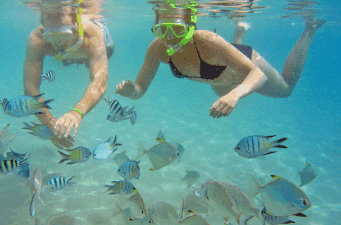Australian Kayaking Adventures - Attractions Perth 2