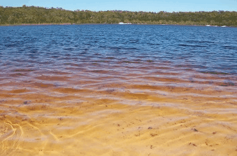 Beach Trekkers North Stradbroke Island - Attractions Perth 1