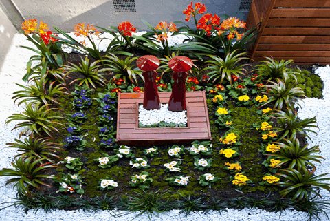 Masci Hair & Spa - Attractions Perth 4