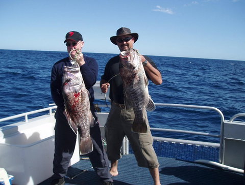 Blue Juice Charters - Attractions Perth 2