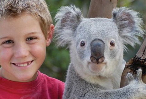 Featherdale Wildlife Park - Attractions Perth 1