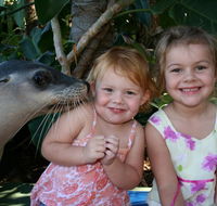 Dolphin Marine Magic - Attractions Perth